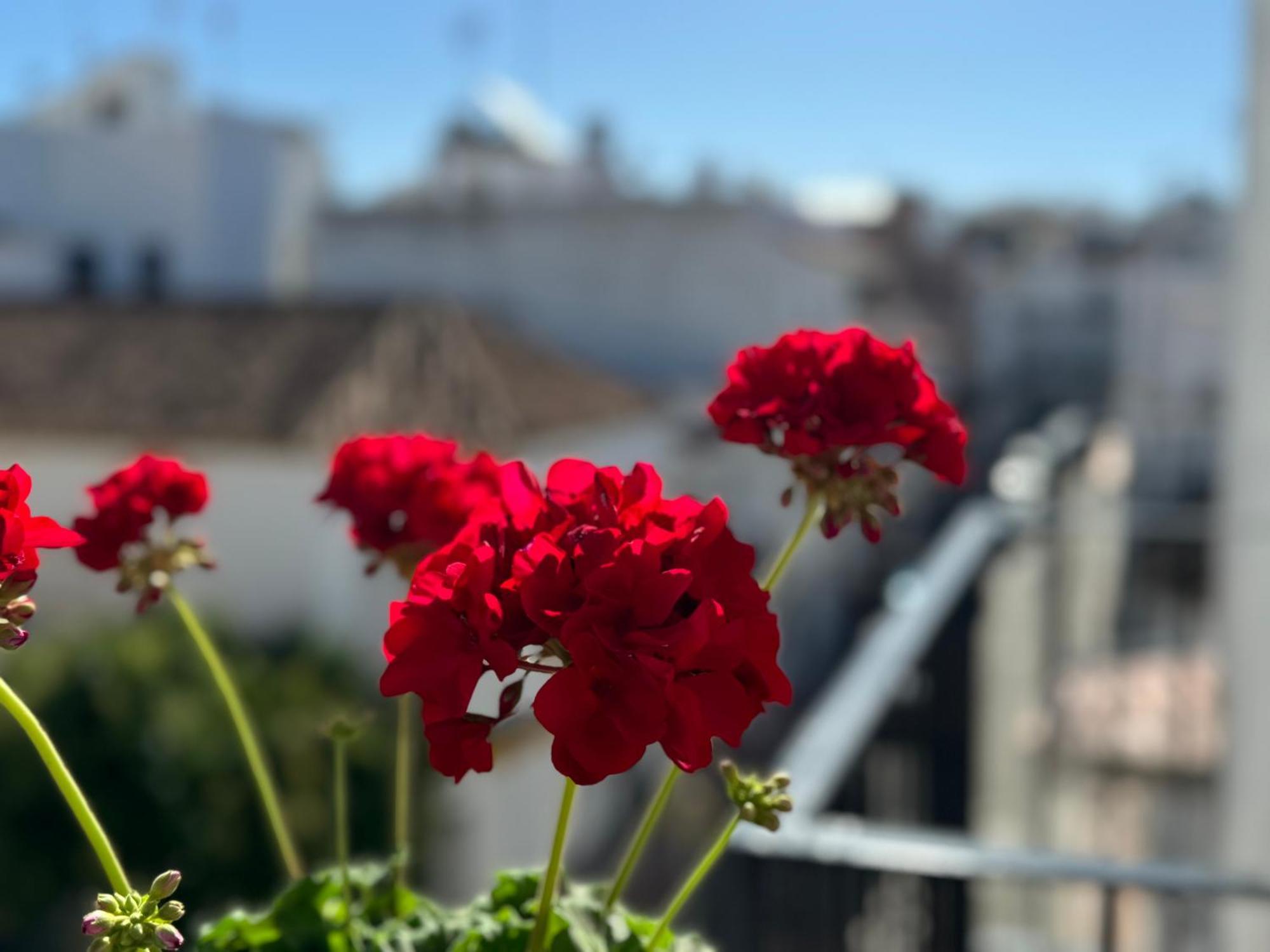 Encantadora Casa En El Corazon De Εστεπόνα Εξωτερικό φωτογραφία